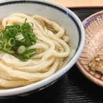 宮武うどん - 盛りつけも綺麗
      ネギの盛り方だけでも魂はいってる
      美味しく食べて欲しいって気持ち伝わる