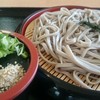 根来さくらの里 - 料理写真:ざるそば