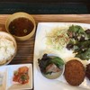 Hokkaido Marche Kitaokazaki Honten - 日替りランチ