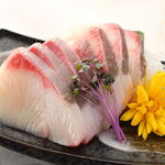 Kanpachi/Yellowtail Sashimi