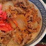 Yoshinoya Nizerozero Gosen Higashiaikawa Ten - 