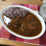 オレンジの木 - 料理写真:人気のスープカレーライス！