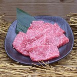 黑毛和牛里脊肉