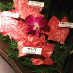 Matsusaka Gyuu Yakiniku M Hozenji Yokocho Ten - 