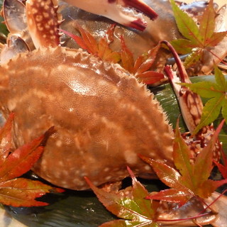 Que, blowfish, crab, hamo, spiny lobster...Aim for it! Best price and quality in the area