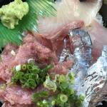 Sasago Mizumoto Ten - 日替わり丼 アジ、特上中落ち、かんぱち