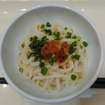 まめカフェ - 生しょうゆうどん￥180-