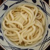 Marugame Seimen Fuji No Miya Ten - かけ(並)・２９０円