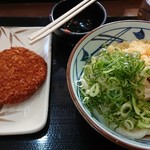 Marugame Seimen Toyohashi Ten - 