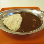 Curry no Chikara Koyodai Ten - ちからカレー（中辛、450円）