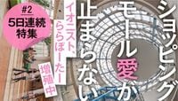 大都市郊外の働く母は「モールと生きる」