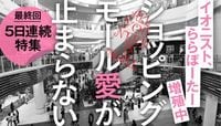 30年後､日本は｢明るい廃墟モール｣だらけ!?