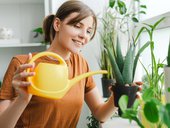 Woman is watering plants at home using yellow watering can