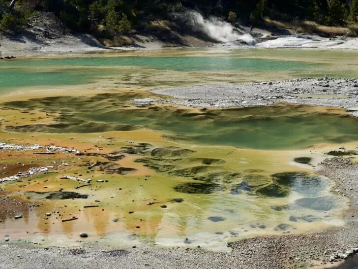 a view of a colorful geyser along the porcelain basin loop