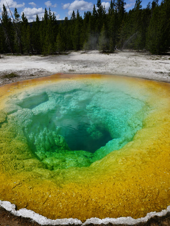 a view of vibrant colors that make up morning glory pool along the upper geyser basin trail