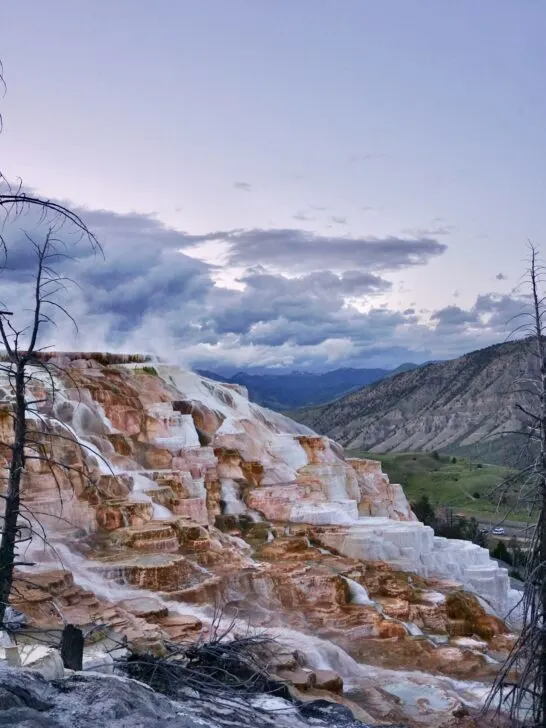 the view of Canary Spring along the Mammoth Hot Springs Loop