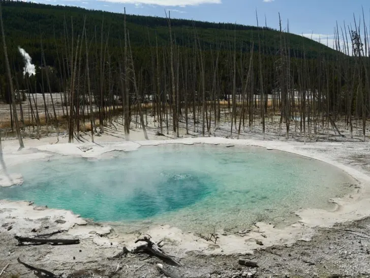 view of Cistern Spring along the back basin loop