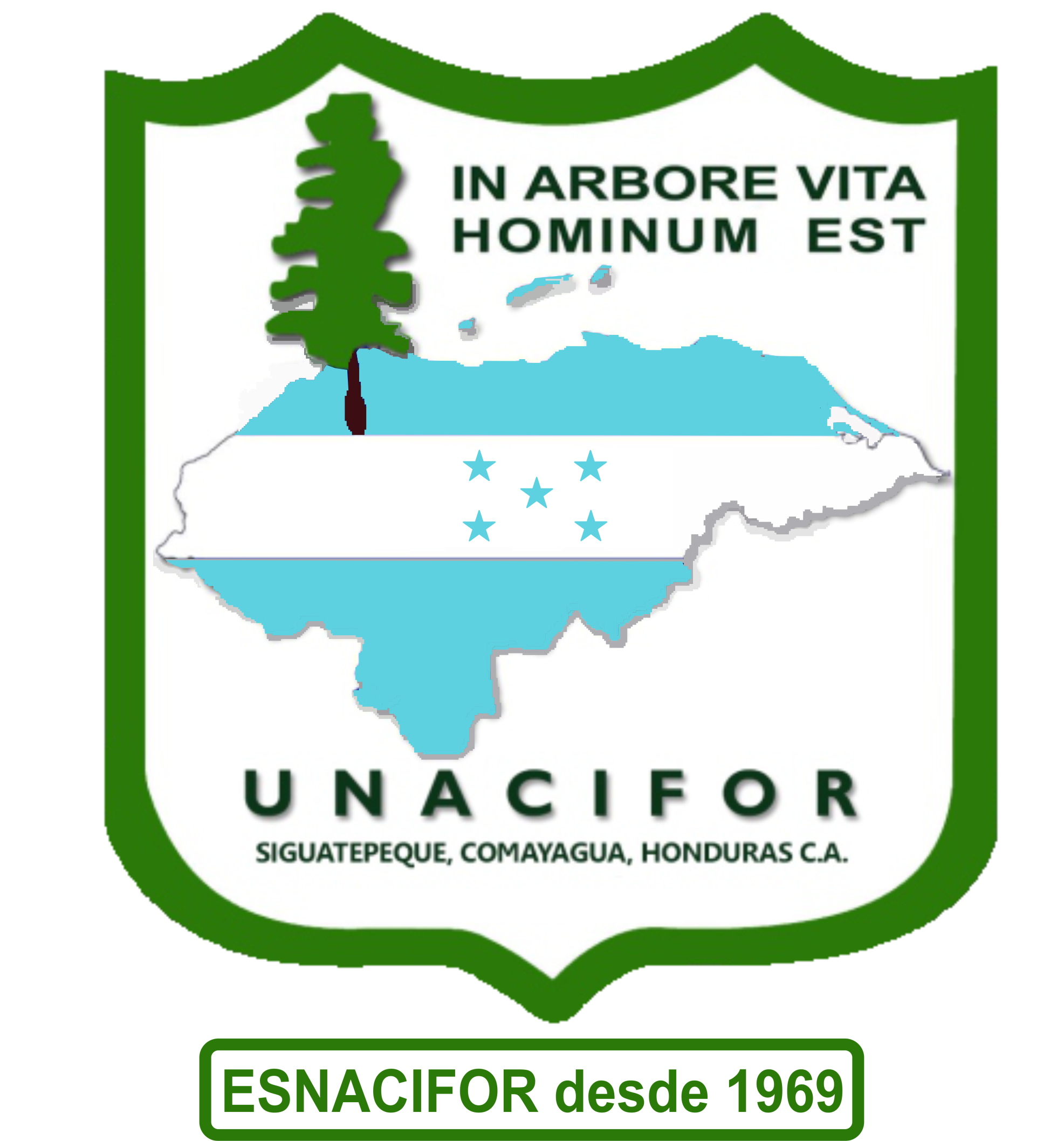 UNACIFOR