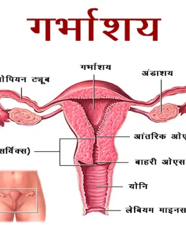 सर्वाइकल कैंसर के कारण, लक्षण