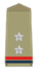 SUB Inspector Rank Officer insignia Indian Police