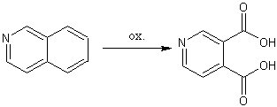 Oxidace isochinolinu