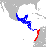 Distribución geográfica de A. geoffroyi (azul) y A. fusciceps (rojo)