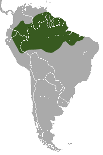 Distribución de C. didactylus