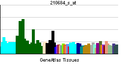 PBB GE DLG4 210684 s at tn.png