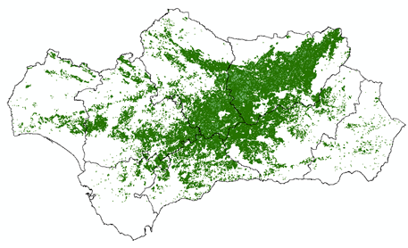 Distribución del olivar en Andalucía (principal productor de aceite de oliva a nivel mundial)[24]​