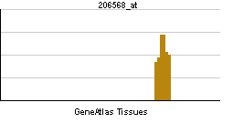 PBB GE TNP1 206568 at tn.png