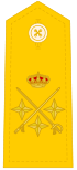 Teniente general