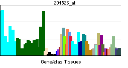PBB GE ARF5 201526 at tn.png