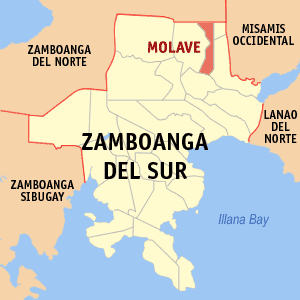 Mapa sa Zamboanga del Sur nga nagpakita kon asa nahimutang ang Molave