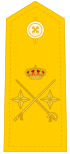 General de División