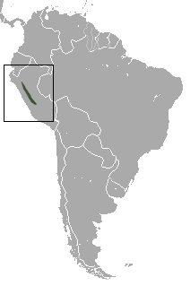 Distribución de Dasypus pilosus