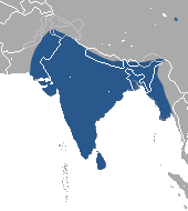 Distribución da especie