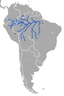 Distribución del manatí de Amazonía