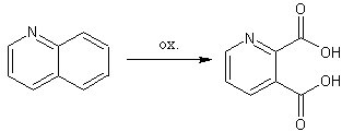 Oxidace chinolinu