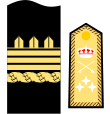 Divisa de teniente general (Infantería de Marina)