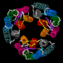 Bacteriorhodopsin trimer with one retinal molecule in each subunit seen from the extracellular side EC (PDB ID: 1X0S [26][27][28]).