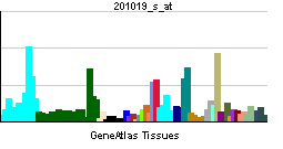 PBB GE EIF1AX 201019 s at tn.png