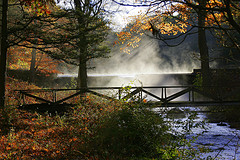 Dolan's Falls early morning