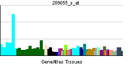PBB GE CDC5L 209055 s at tn.png