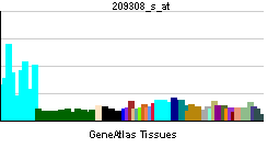 PBB GE BNIP2 209308 s at tn.png