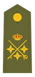 Teniente general