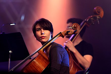 A French musician in a music festival