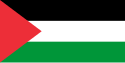 Palestina – Bandiera