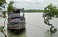 * Nomination: A boat in Kaikhali, near Sundarbans, India. --JDP90 18:42, 5 June 2012 (UTC) * * Review needed