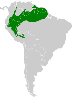 Distribución geográfica del hormiguero alimoteado.