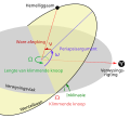 Afrikaans